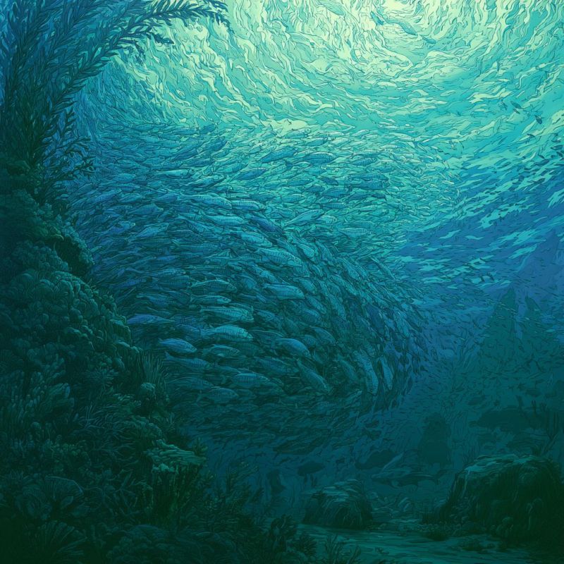 School of Fish 2
