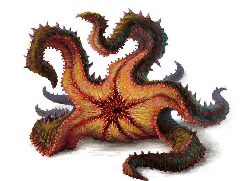 Strangler Starfish 1