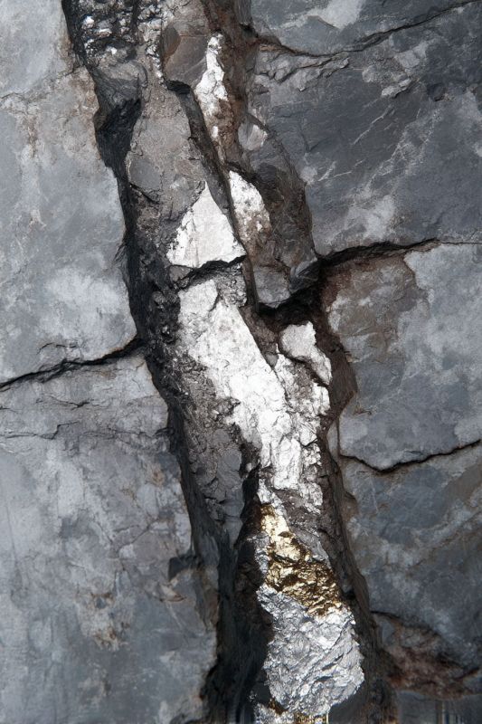 Platinum Vein 3