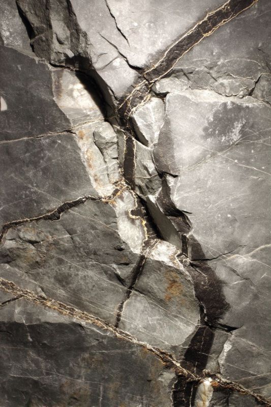 Platinum Vein