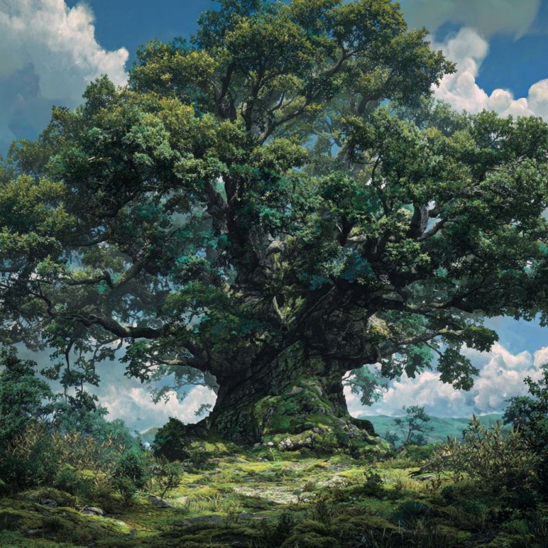 Dark Oak Tree, Titantic