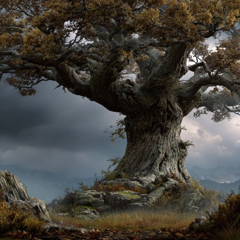 Dark Oak Tree, Gargantuan