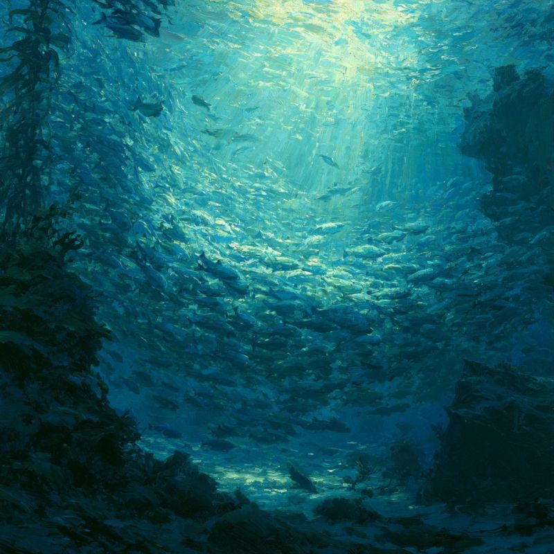 School of Fish 1