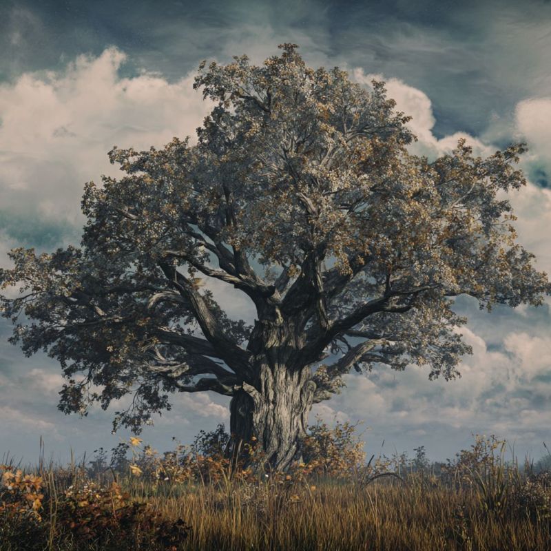 Dark Oak Tree, Large 4