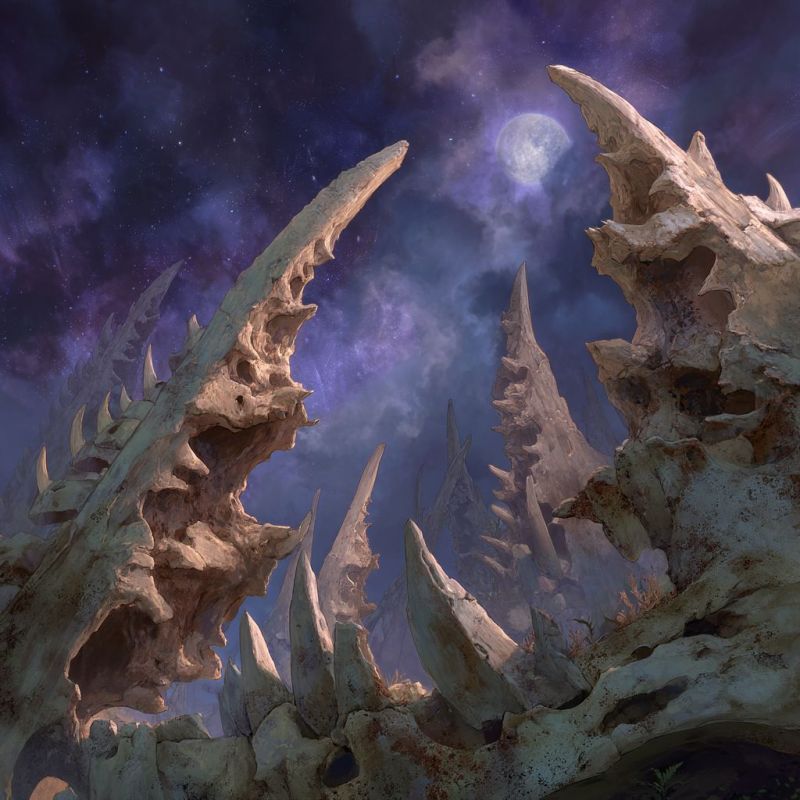 Rubble, Bone, Large 5