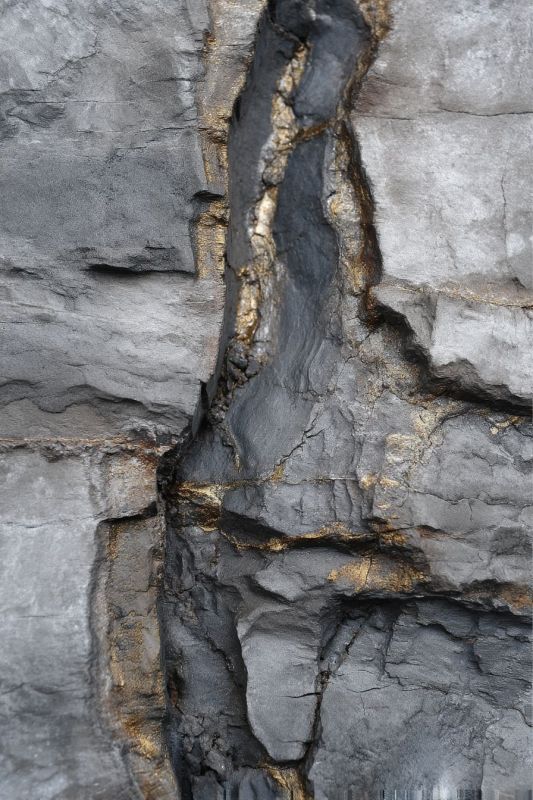 Lead Vein 4